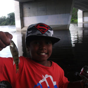 Meet your Posher, Brandon